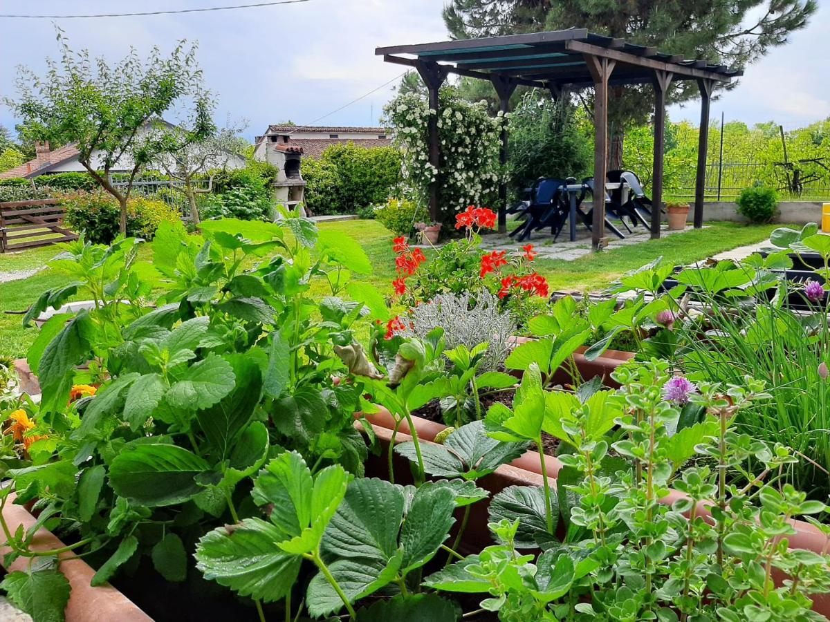 Cascina Teresina Monferrato Piscina Villa Cortazzone Kültér fotó