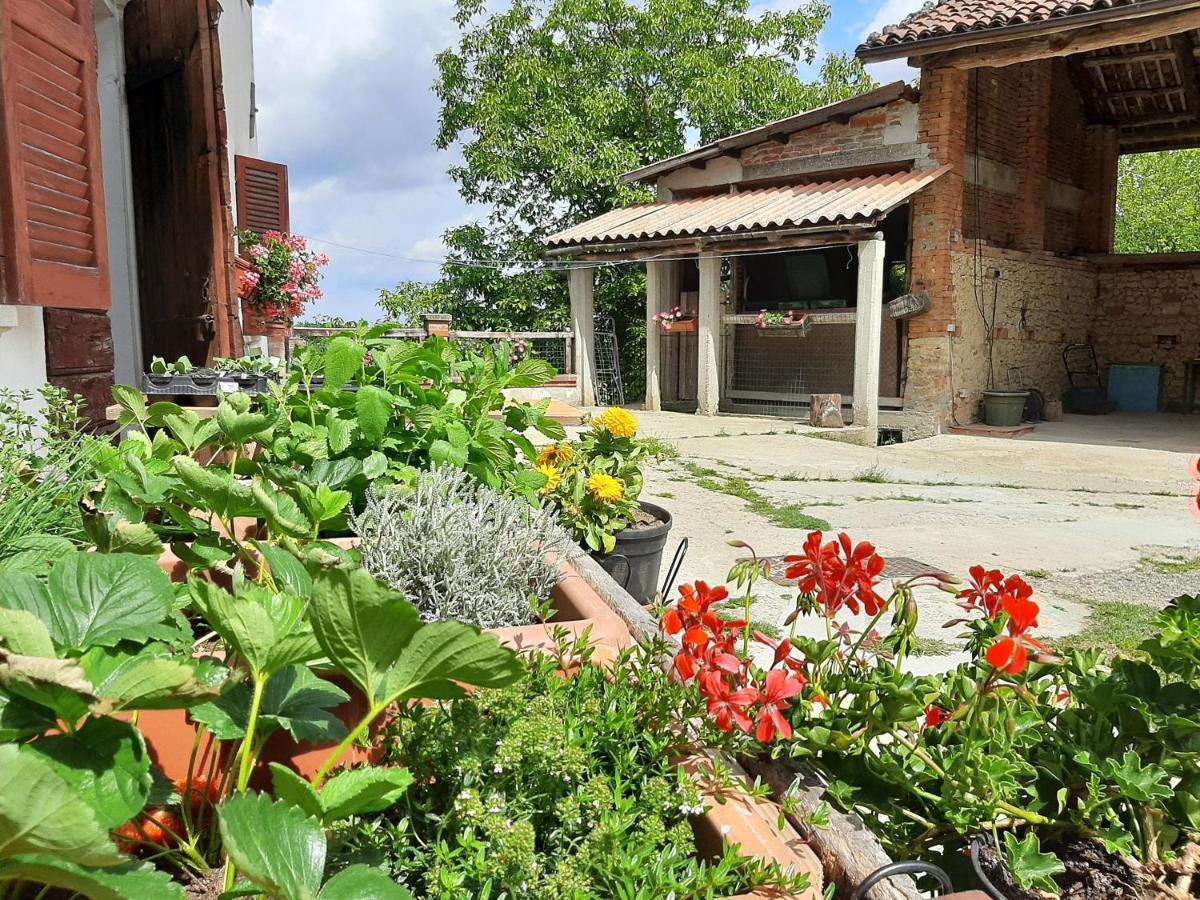 Cascina Teresina Monferrato Piscina Villa Cortazzone Kültér fotó