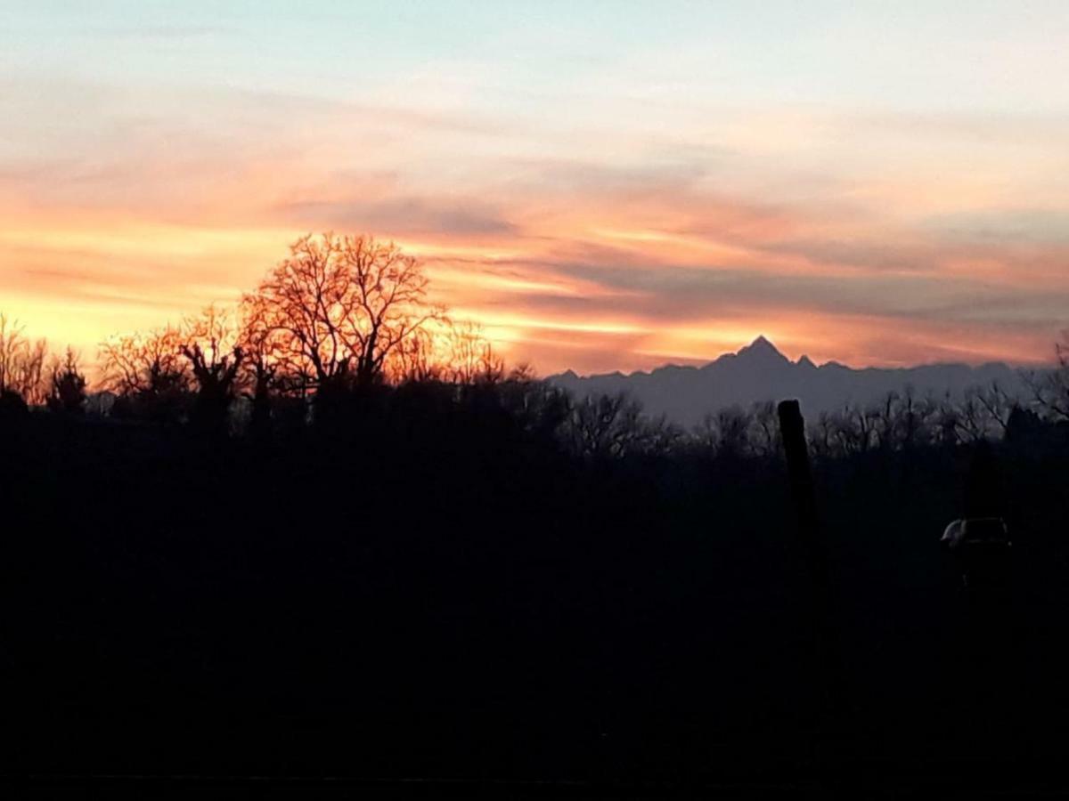 Cascina Teresina Monferrato Piscina Villa Cortazzone Kültér fotó